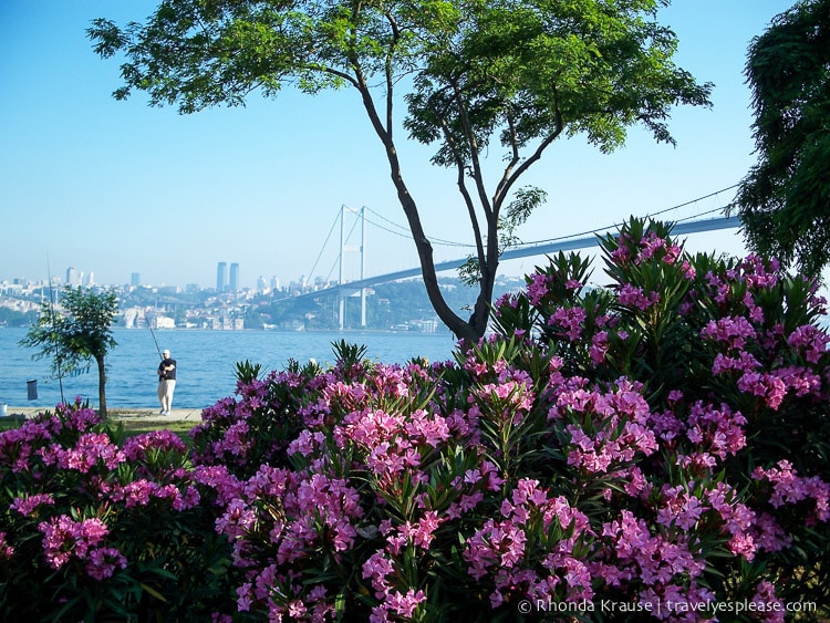 travelyesplease.com | One Day in Istanbul- How to Spend 24 Hours in Turkey's Largest City