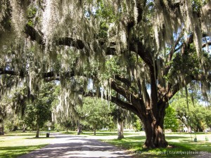 Audubon Park, New Orleans travelyesplease.com | Romantic New Orleans- Our 10 Favourite Activities for Romance
