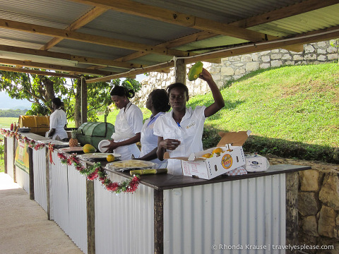 Staff at the papaya farm preparing a snack.