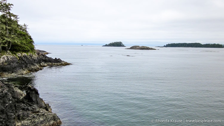 travelyesplease.com | The Ultimate Vancouver Island Road Trip