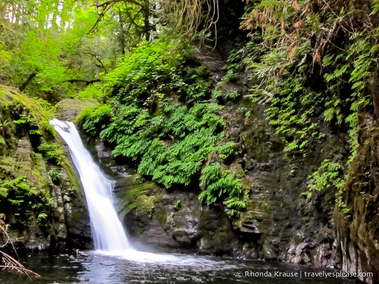 travelyesplease.com | The Ultimate Vancouver Island Road Trip