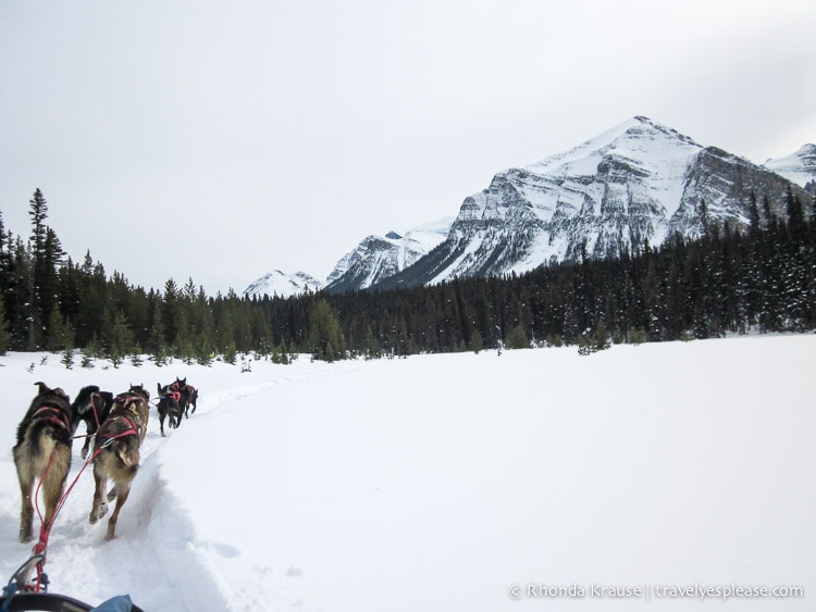 travelyesplease.com | Romantic Lake Louise- Five Activities for Romance