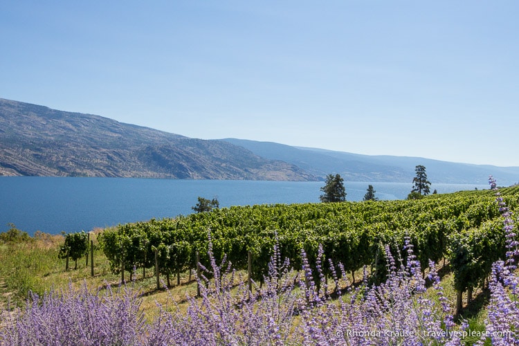 The Okanagan- Western Canada’s Wine Country and Summer Playground