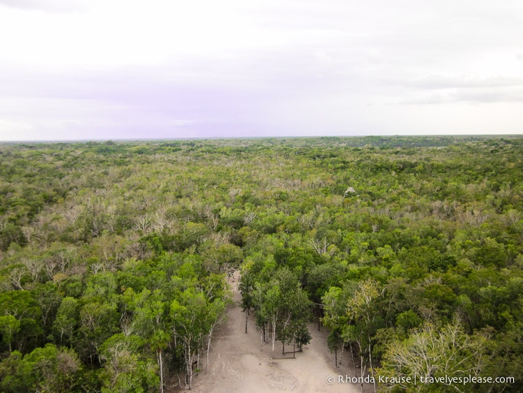 travelyesplease.com | Coba, Mexico- A Mad Dash Towards a Terrifying Climb