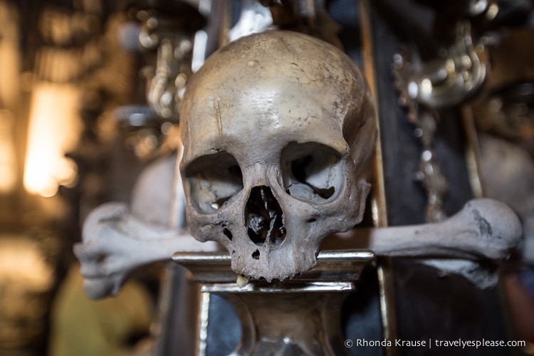 Skull on display inside the Bone Church- Sedlec Ossuary, Kutna Hora.