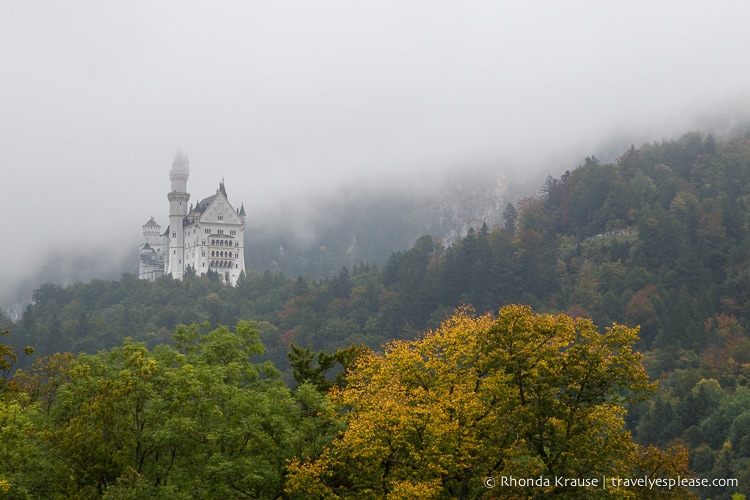 Photo of the Week: Autumn at Neuschwanstein Castle, Germany