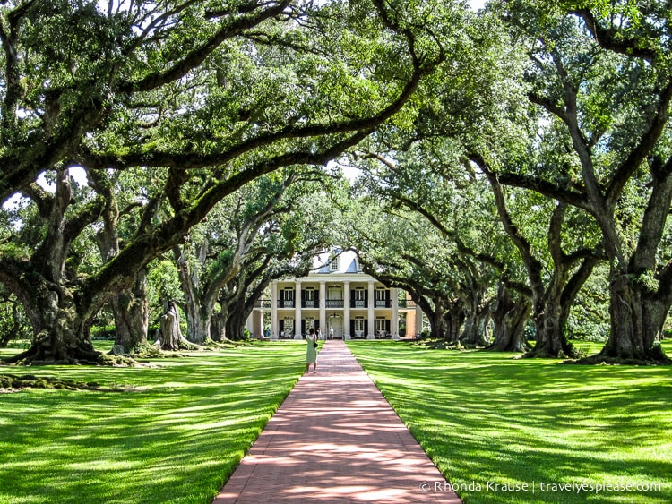 travelyesplease.com | Photo of the Week: Oak Alley Plantation