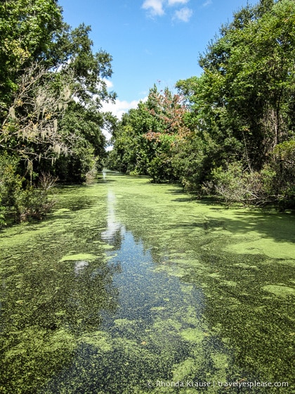 travelyesplease.com | 3 Great Day Trips From New Orleans- Swamps, Battlefields, and Plantations