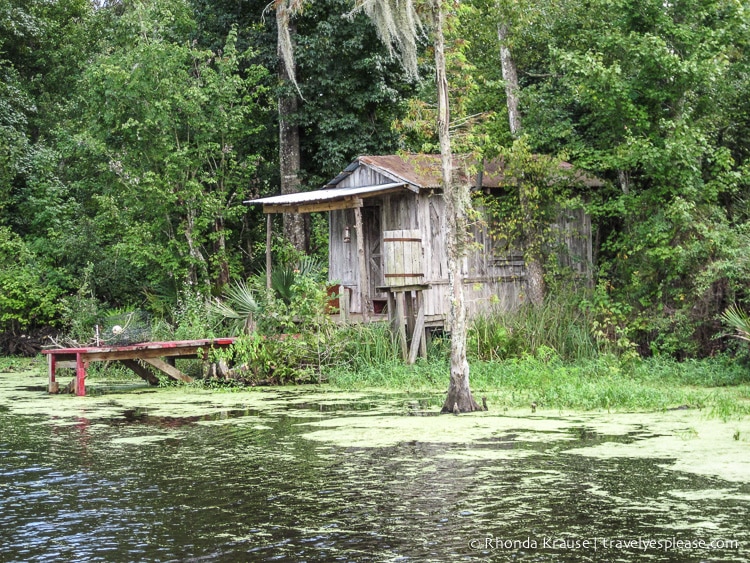 travelyesplease.com | 3 Fun Day Trips From New Orleans- Swamps, Battlefields, and Plantations