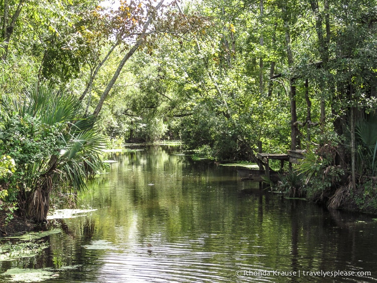 travelyesplease.com | 3 Fun New Orleans Day Trips- Swamps, Battlefields, and Plantations