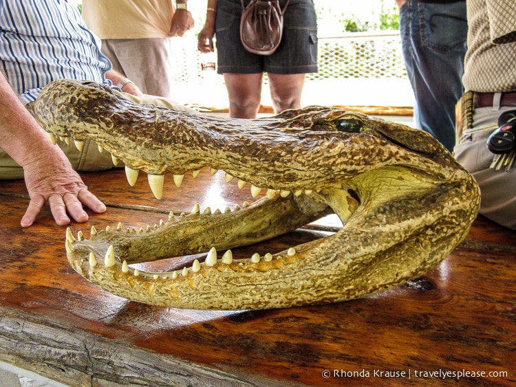 travelyesplease.com | 3 Great Day Trips From New Orleans- Swamps, Battlefields, and Plantations