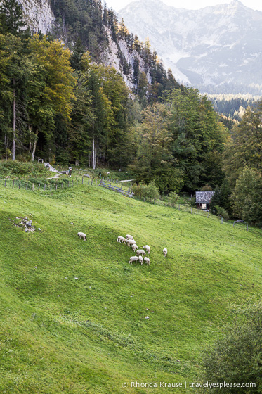 travelyesplease.com | Hallstatt, Austria- A Picturesque Lakeside Alpine Village