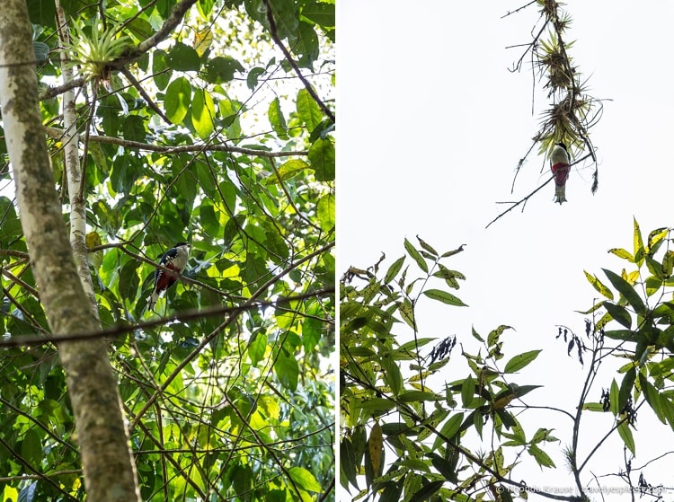 travelyesplease.com | Hiking Guanayara National Park, Cuba