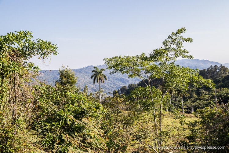 travelyesplease.com | Hiking Guanayara National Park, Cuba