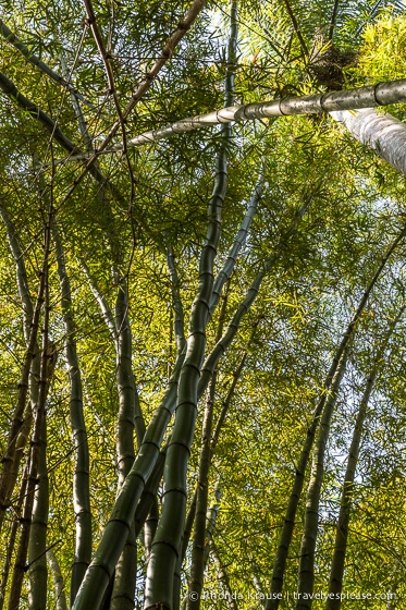 travelyesplease.com | Hiking Guanayara National Park, Cuba