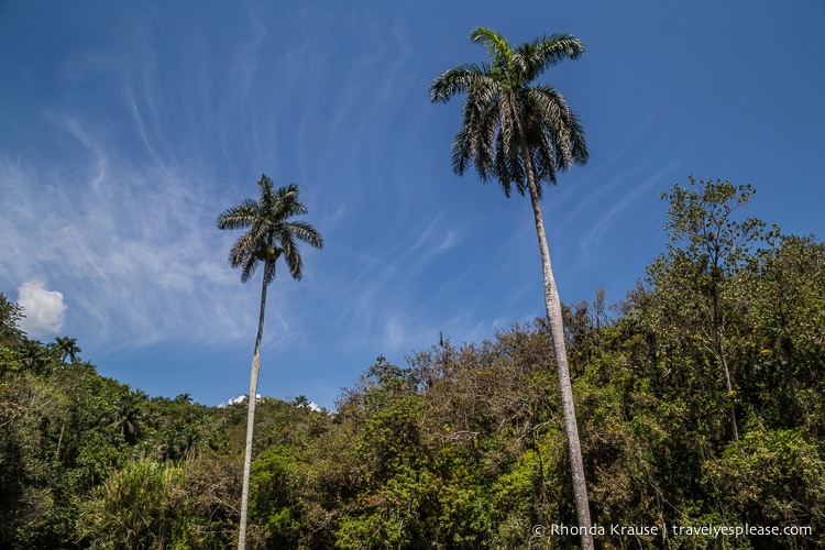 Hiking Guanayara National Park, Cuba