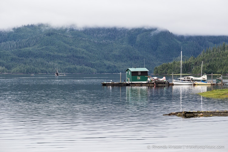 travelyesplease.com | Neets Bay Bear Viewing