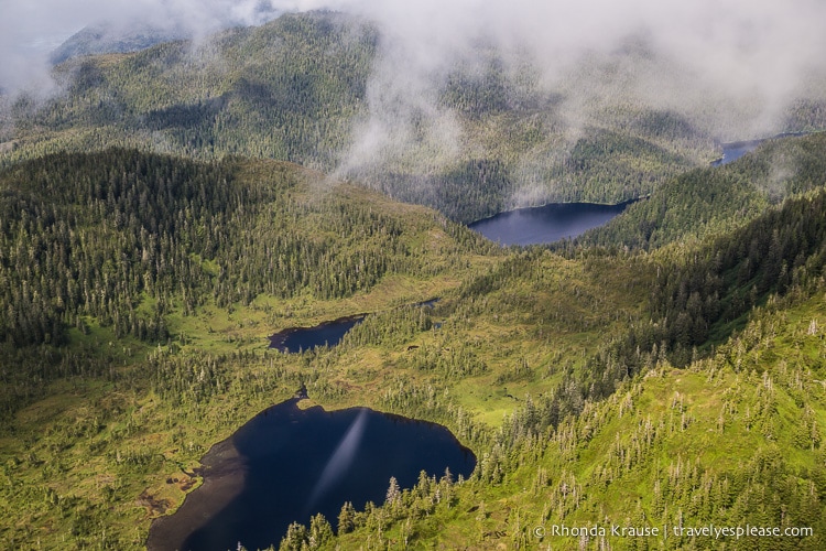 travelyesplease.com | Flightseeing in Ketchikan, Alaska- Misty Fjords National Monument