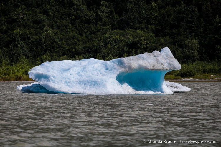 travelyesplease.com | A Visit to Mendenhall Glacier, Juneau