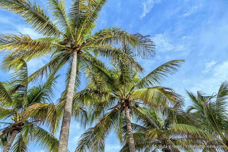 travelyesplease.com | Colours of Cuba- Photo Series