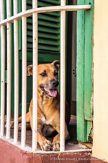 travelyesplease.com | Colourful Cuba- Photo Series