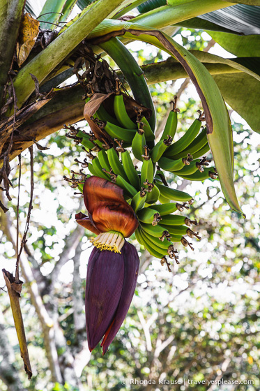 travelyesplease.com | Colourful Cuba- Photo Series