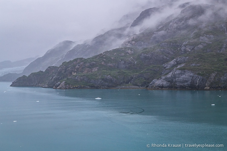 travelyesplease.com | Into the Ice- Glacier Bay, Alaska