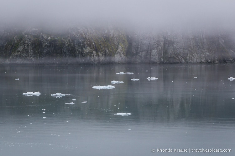 travelyesplease.com | Into the Ice- Glacier Bay, Alaska