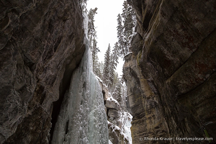 travelyesplease.com | The Maligne Canyon Ice Walk- Alberta’s Coolest Hike