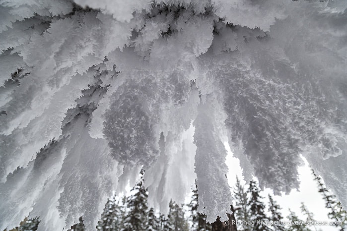 travelyesplease.com | The Maligne Canyon Ice Walk- Alberta’s Coolest Hike