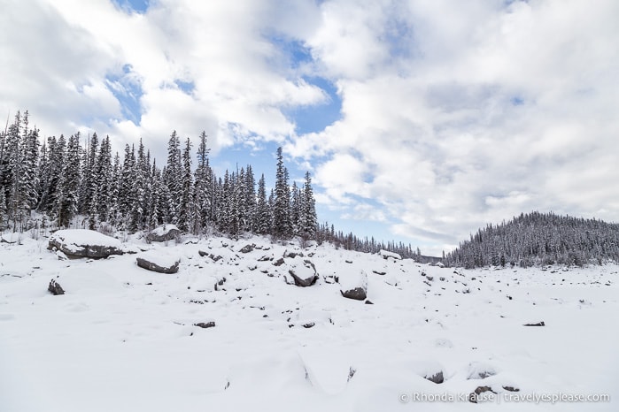 travelyesplease.com | Snowshoeing in Jasper- Our First Experience and Why You Should Try it Too!