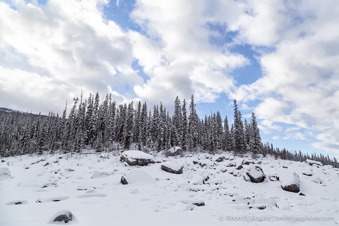 travelyesplease.com | Snowshoeing in Jasper- Our First Experience and Why You Should Try it Too!