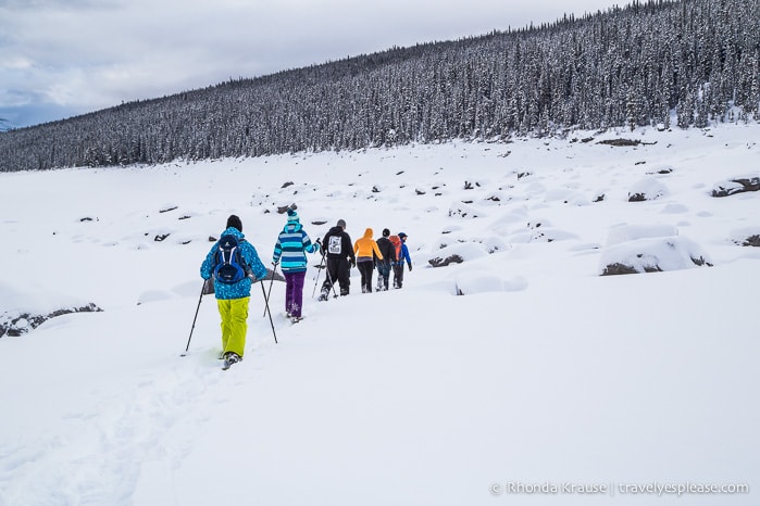 Snowshoeing in Jasper- Our First Experience and Why You Should Try it Too!