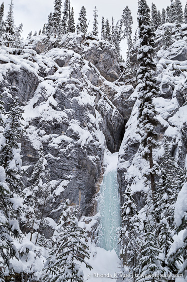 travelyesplease.com | Snowshoeing in Jasper- Our First Experience and Why You Should Try it Too!