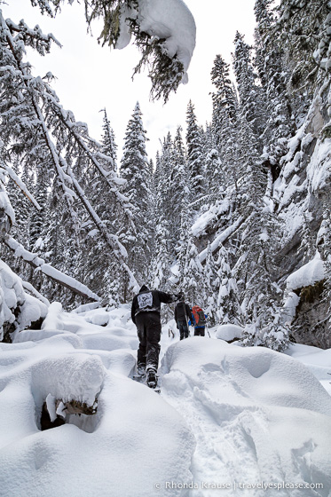 travelyesplease.com | Snowshoeing in Jasper- Our First Experience and Why You Should Try it Too!