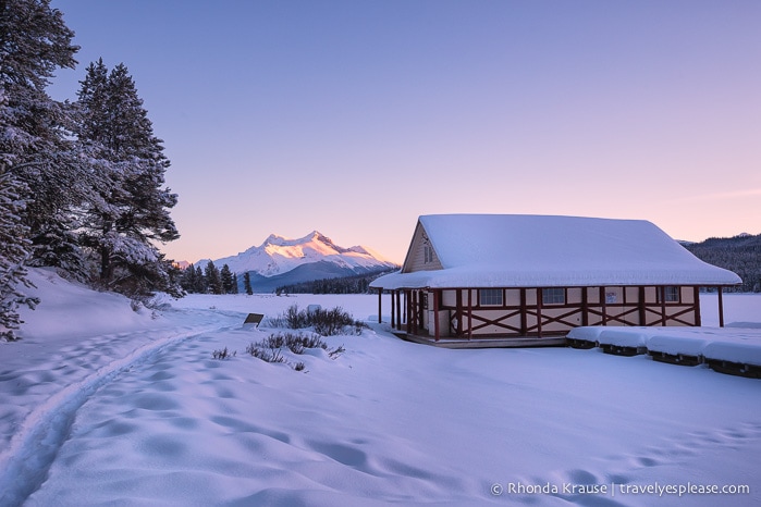 8 Reasons to Visit Jasper in January (and All Winter Long!)