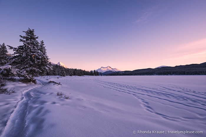 travelyesplease.com | Winter in Jasper- Photo Series