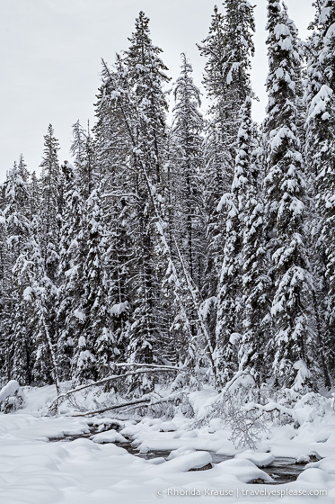 travelyesplease.com | Jasper in Winter- Photo Series