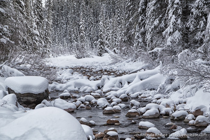 travelyesplease.com | Jasper in Winter- Photo Series