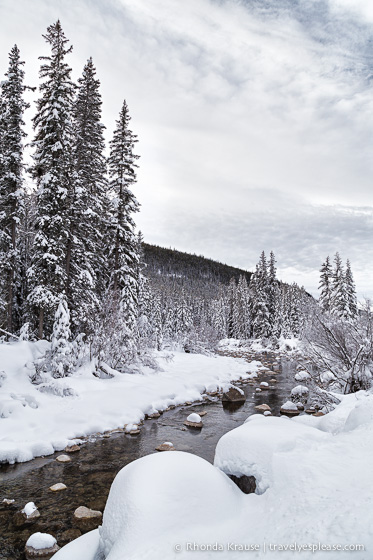 travelyesplease.com | Jasper in Winter- Photo Series