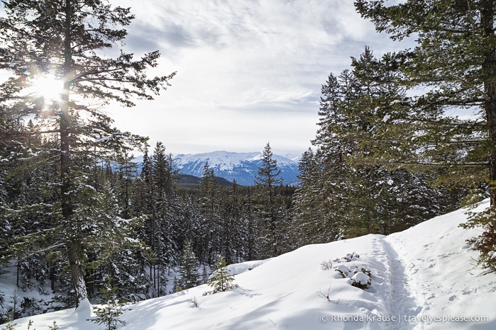 travelyesplease.com | Winter in Jasper- Photo Series
