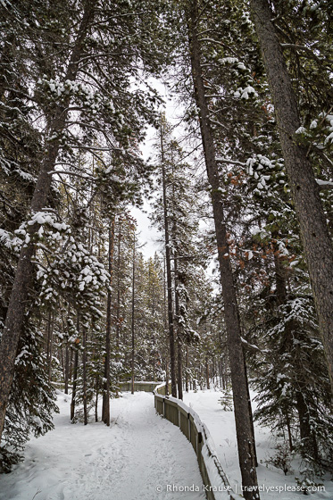 travelyesplease.com | Jasper in Winter- Photo Series