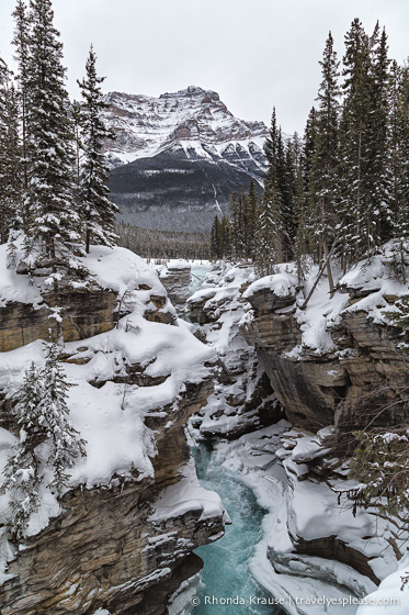 travelyesplease.com | Frosty Photos of Jasper National Park in Winter 