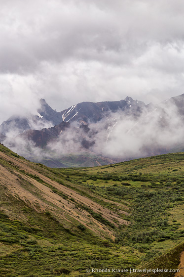 travelyesplease.com | Denali National Park- A Living Masterpiece