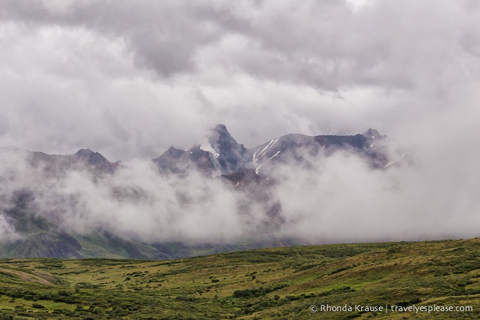 travelyesplease.com | Denali National Park- A Living Masterpiece