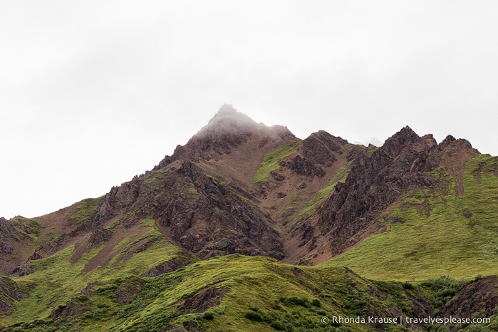 travelyesplease.com | Denali National Park- A Living Masterpiece