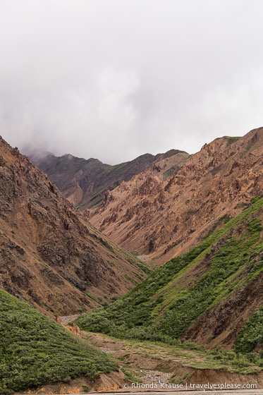 travelyesplease.com | Denali National Park- A Living Masterpiece