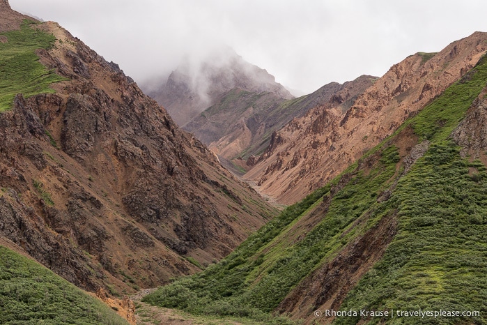 travelyesplease.com | Denali National Park- A Living Masterpiece