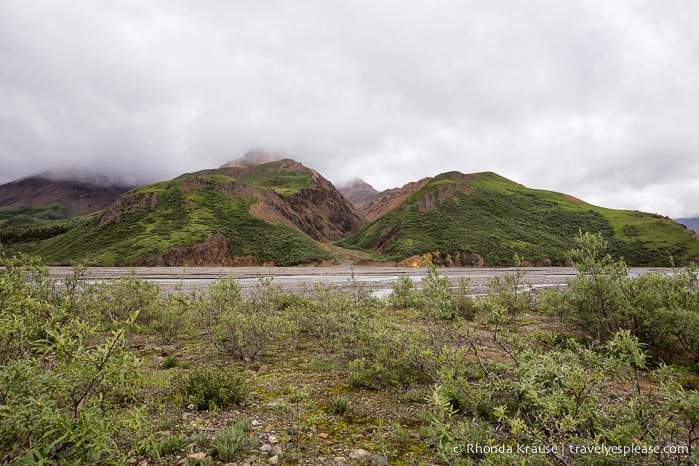 travelyesplease.com | Denali National Park- A Living Masterpiece