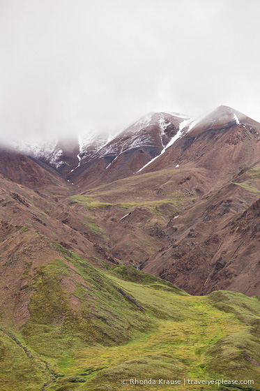 travelyesplease.com | Denali National Park- A Living Masterpiece